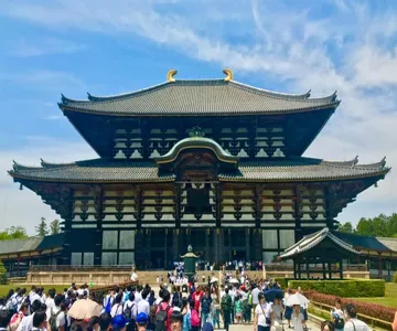 Nara Walking Tour